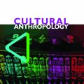 Cultural Anthropology Journal cover, multicolor design with old type writer keys featured in the center.