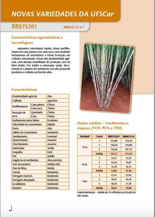 A page of a sugarcane varieties catalog showing the specifications of one particular variety. An image of the cane variety is accompanied by tables and charts.